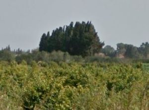קרקע חקלאית באזור כרכור (מתוך Google Street View)